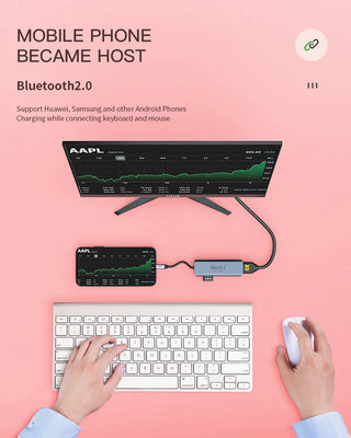 Black-i USB-C to Dual HDMI 4K with 1 USB 3.0 Port