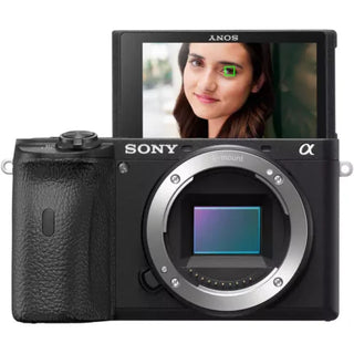 Sony a6600 Mirrorless Camera (Body)