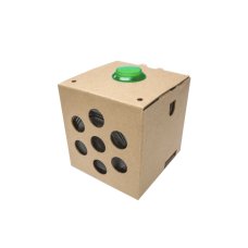 Google AIY Voice Kit