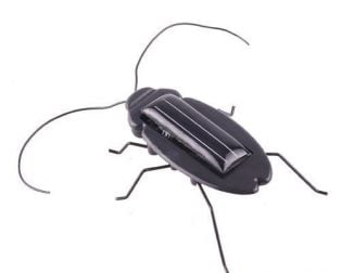Solar Powered Vibrating Black Cockroach Bug The Engineer Store Solar Powered Vibrating Black Cockroach Bug The Engineer Store